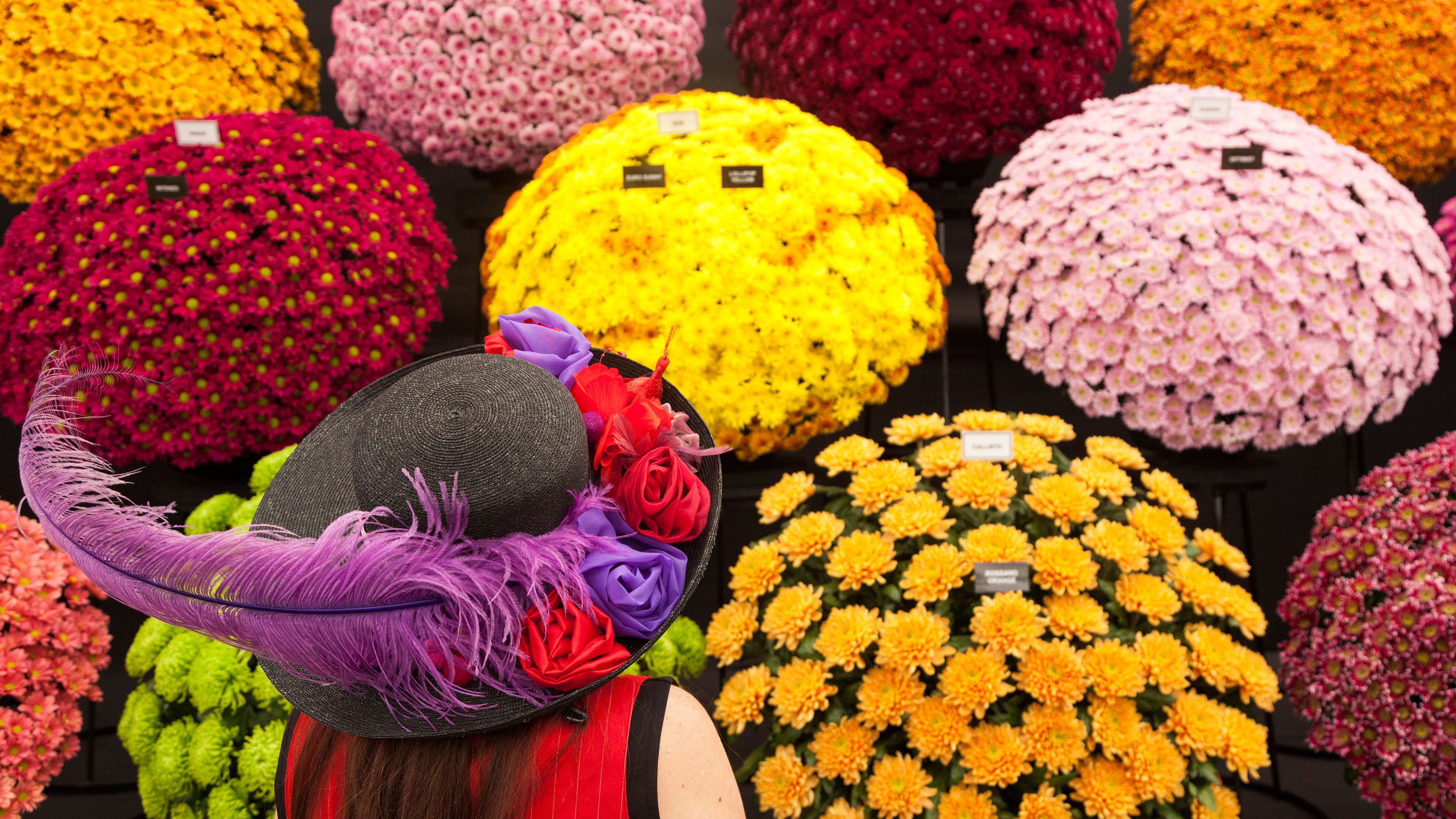 A woman with a floral hat at the RHS Chelsea Flower Show 2014 (© Bettina Strenske/Alamy Stock Photo)