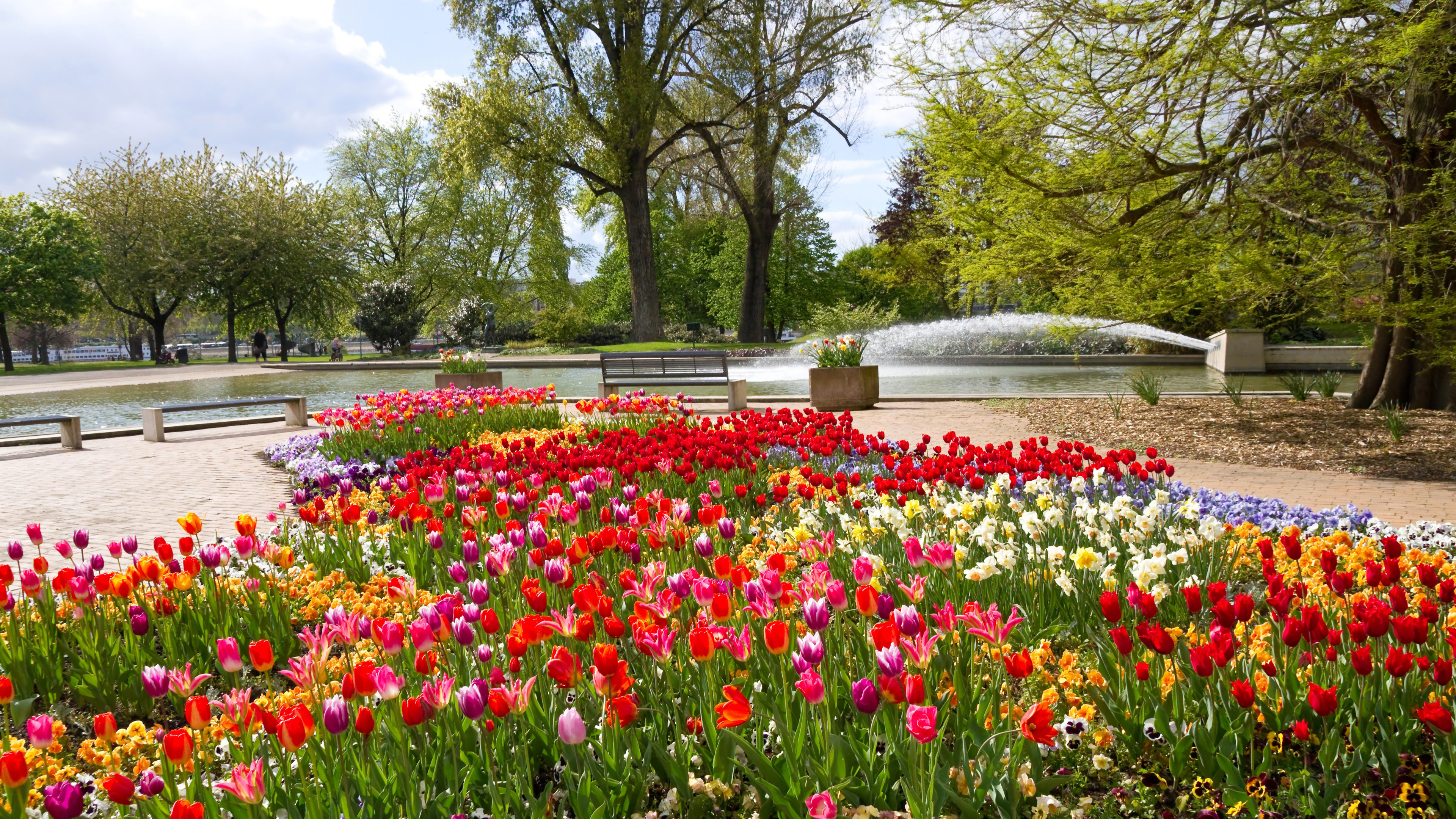 Blumenbeete mit Tulpen und anderen Frühlingsblumen im Rheinpark, Köln (© Elisabeth Schittenhelm/Getty Images)